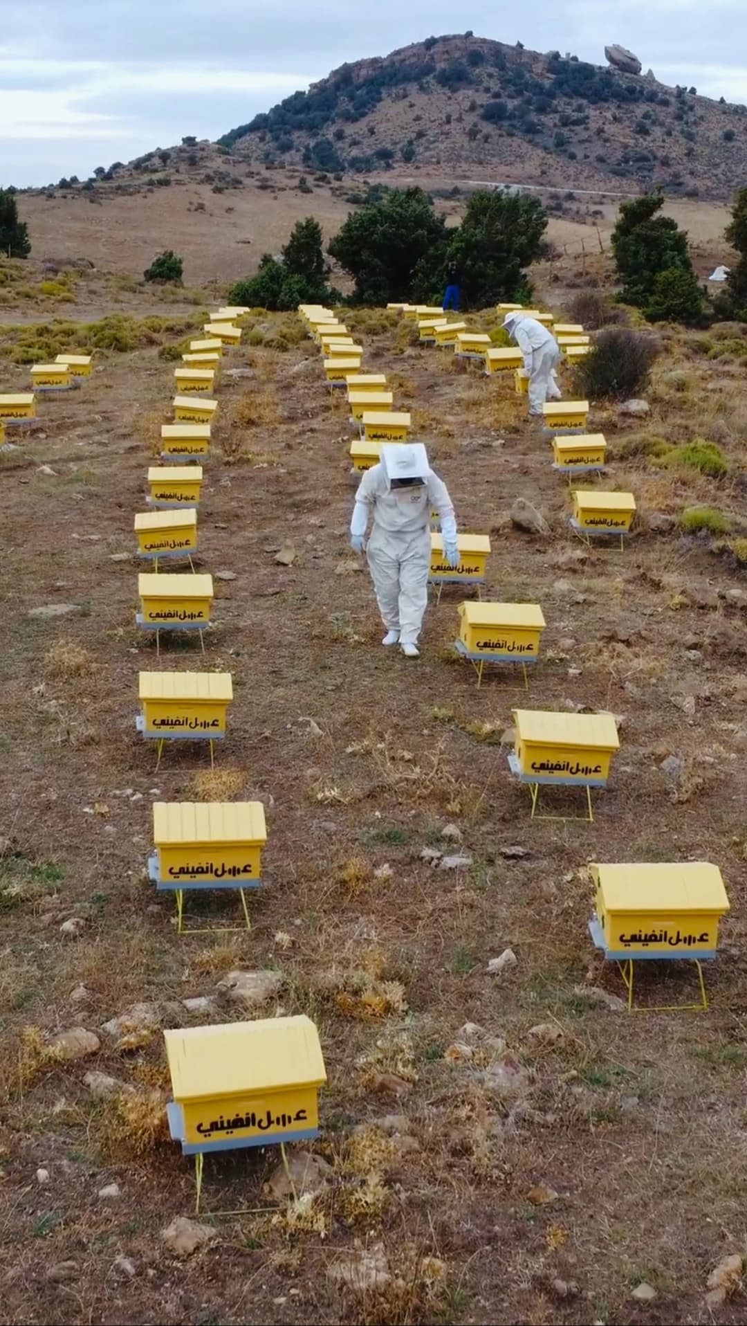 صورة المرتفعات