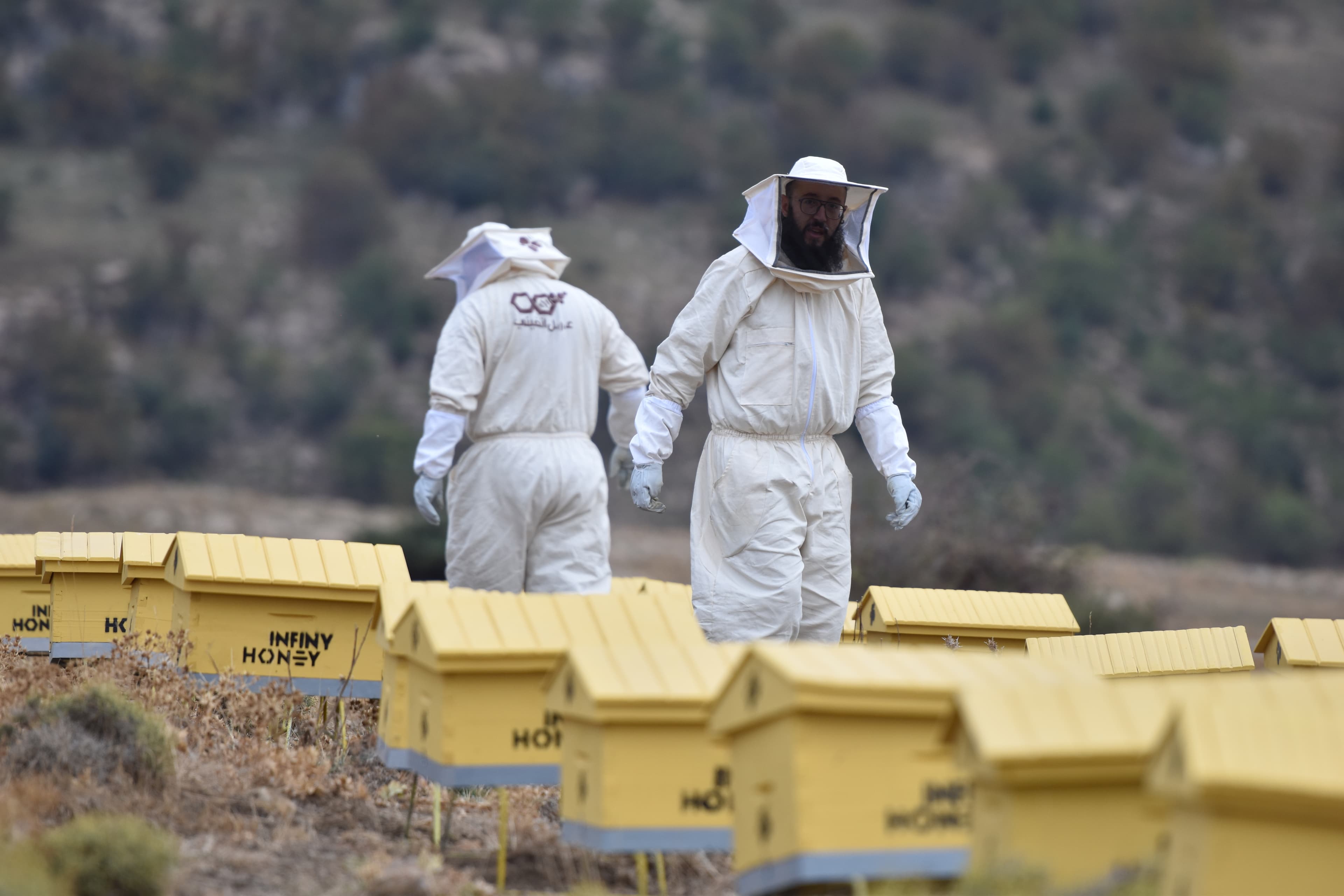 صورة ميدانية